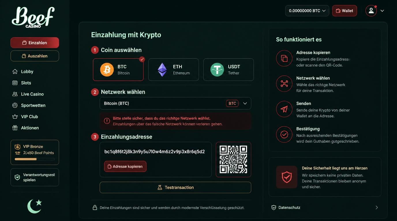 Kryptozahlung mit Wallet, Coin-Auswahl und Netzwerk zur sicheren Einzahlung.